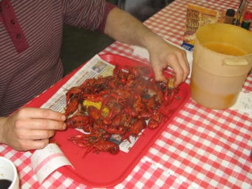 Eating crawfish on vacation in Houston, Texas.