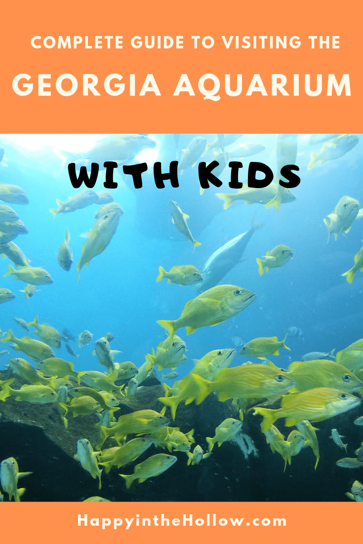 complete guide to visiting the Georgia Aquarium with kids