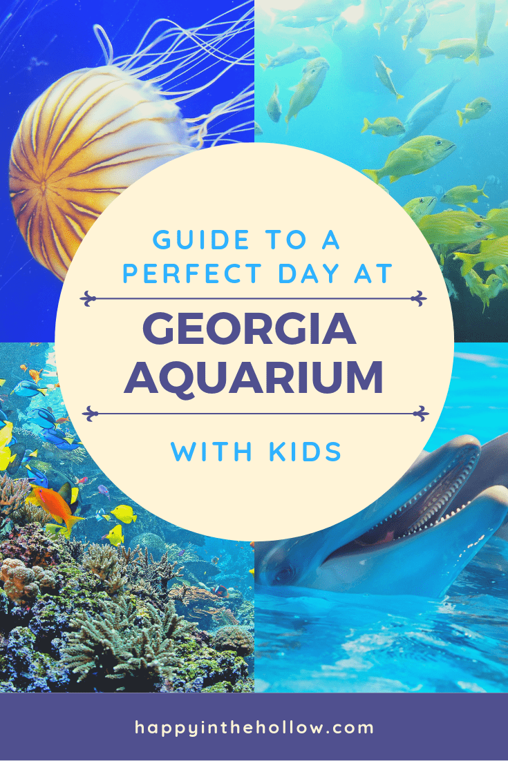 Guide to a perfect day at Georgia Aquarium with Kids