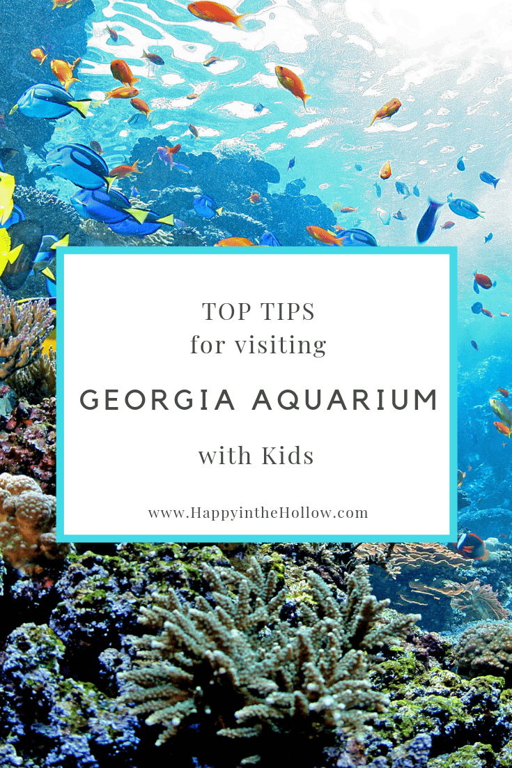 Top tips for visiting Georgia Aquarium with Kids