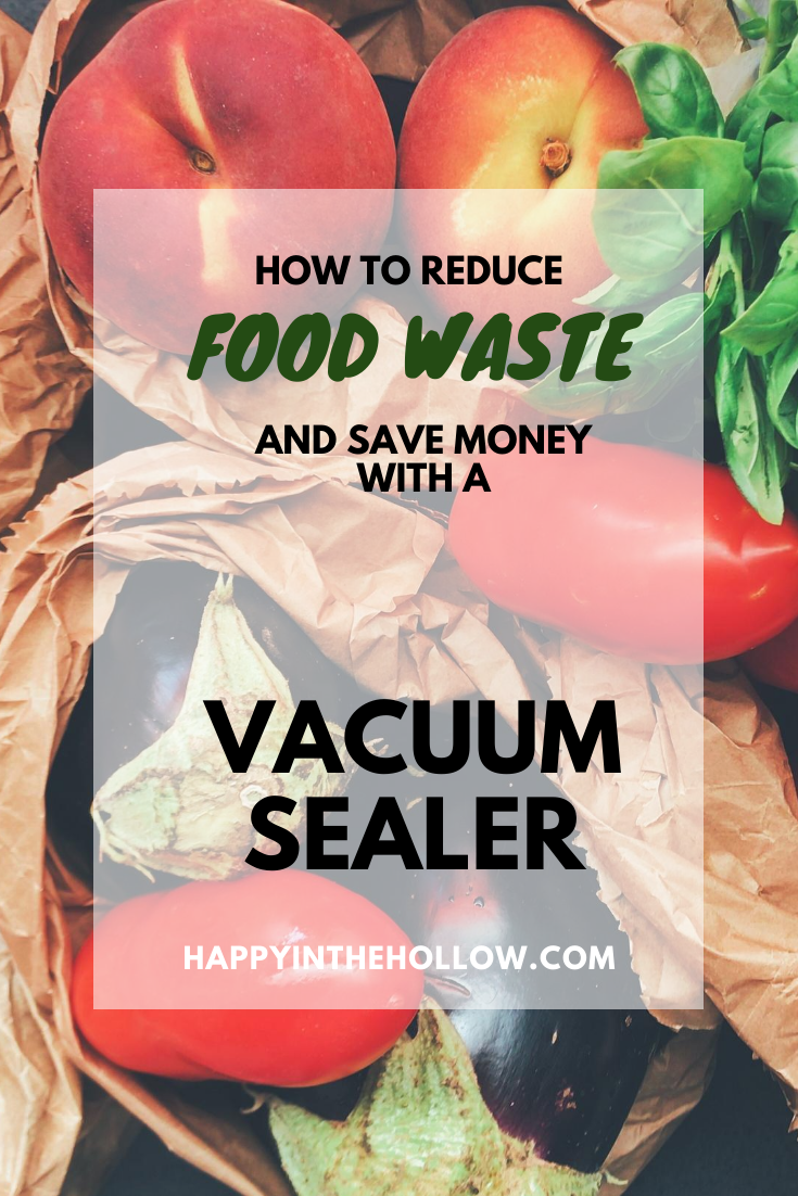 How to reduce food waste and save money with a vacuum sealer